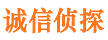 蕉城侦探公司